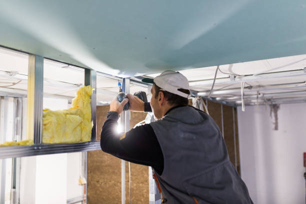 Insulation Repair Services in Rock Rapids, IA