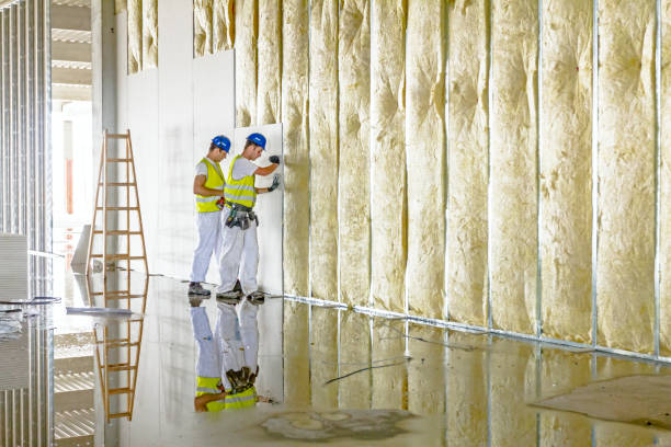 Soundproof Insulation Installation in Rock Rapids, IA